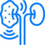 Nephrology Specialized devices for kidney care.