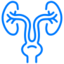 Urology Cutting-edge solutions for urological procedures.